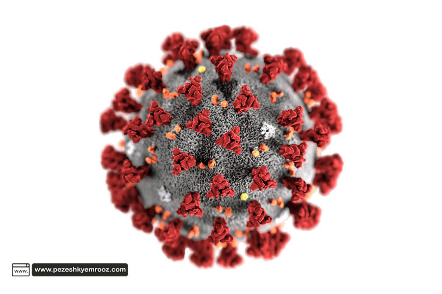 واکسن| ویروس| کرونا| عفونی|به سمت کشف واکسن ویروس کرونای جدید